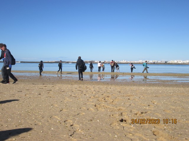 IMG_3668 IMG_3668