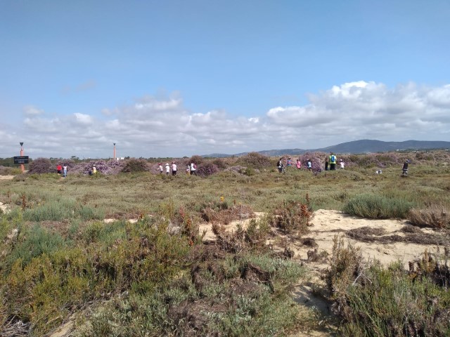1_ciclo_PNRF_2